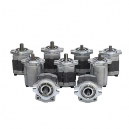 Gear Pump